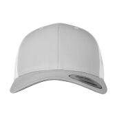 Silver/White
