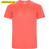 Fluor Coral